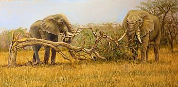 Two Elephants with birds - African wildlife by Werner Rentsch