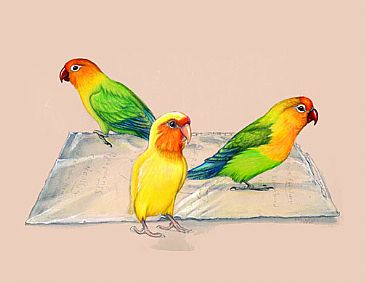 Three Lovebirds - Peach-faced and Fischer's Lovebirds by Pat Latas