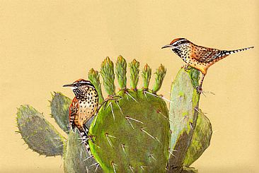 Cactus Wrens - Cactus Wrens and Prickly Pear by Pat Latas