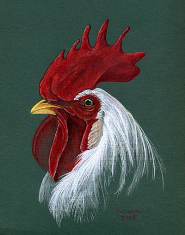 Leghorn Rooster - Leghorn Rooster by Pat Latas
