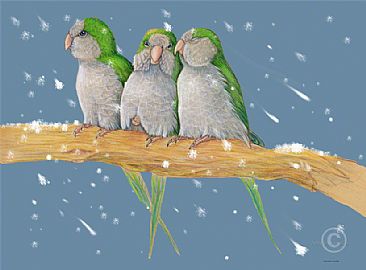 Cold Brooklyn Morning - Quaker Parrots in Brooklyn by Pat Latas