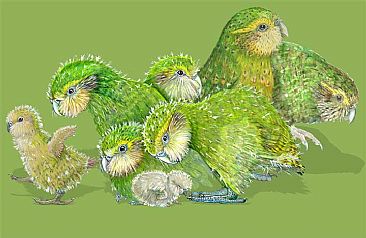 Kakapo Creche - Kakapo Parrot by Pat Latas