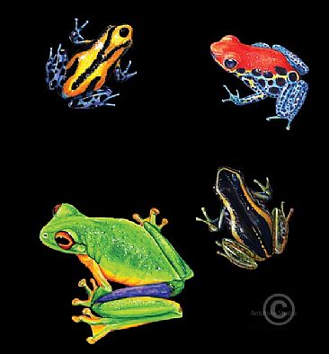 Frogs - An assortment of tropical frogs by Pat Latas