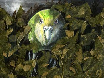 Kakapo in leaves - Kakapo in the undergrowth at night by Pat Latas