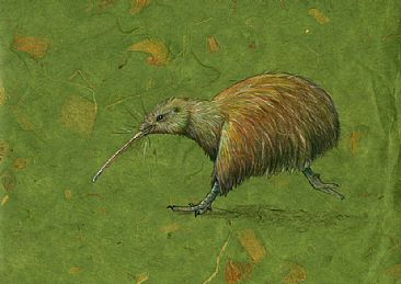 Kiwi Running - kiwi by Pat Latas