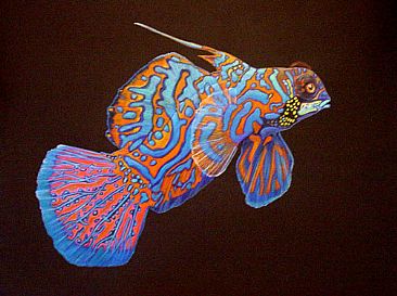 Mandarin Fish - Mandarin Fish by Pat Latas