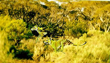 Tasmanian Tigers - Marsupial wolf/Tasmanian Tiger by Pat Latas