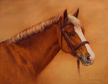 Portrait of a Horse - Equine by Phyllis Frazier