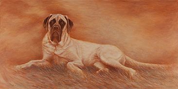 Portrait of  - Dog by Phyllis Frazier