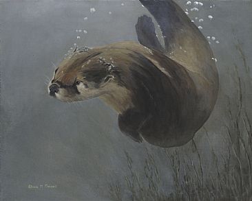 Water Acrobat - River Otter by Patricia Mansell