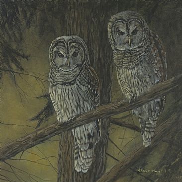 Night Watch - Barred Owls by Patricia Mansell