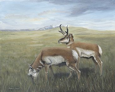 Prairie Ghosts - Pronghorn by Patricia Mansell