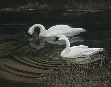 Life Mates - Trumpeter Swans by Patricia Mansell