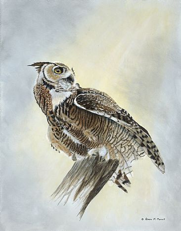 Sky Hunter - Great Horned Owl by Patricia Mansell