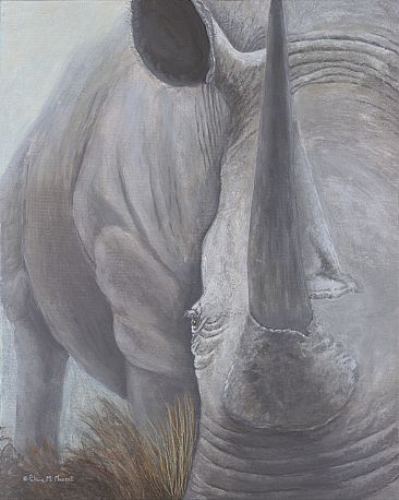 Facing His Future - White Rhino by Patricia Mansell