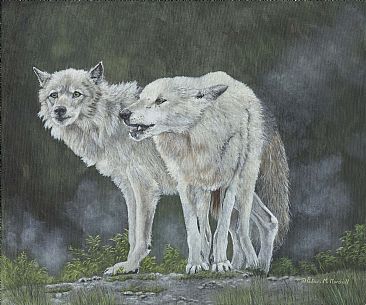 Forest Shadows - Grey Wolves by Patricia Mansell