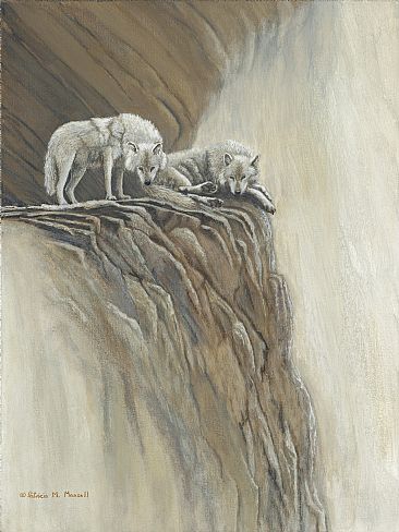 View from Above - Arctic Wolves by Patricia Mansell
