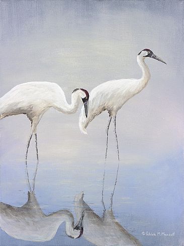 Water Shadows - Whooping Crane by Patricia Mansell