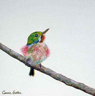 Cupcake - Cuban Tody bird by Carrie Goller
