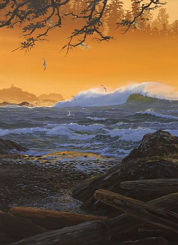Lismer Bay II -  by Mark Hobson