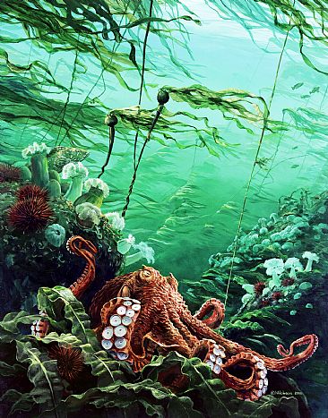 Octopus Going with the Flow -  by Mark Hobson