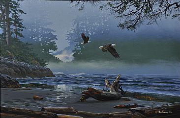 Siwash Cove: Eagles in the Mist -  by Mark Hobson