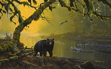 Black Bear: Tranquil River -  by Mark Hobson