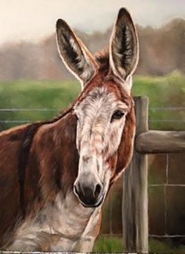 Abigail - mule by Cindy Billingsley