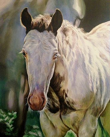 Spring Foal - Foal by Cindy Billingsley