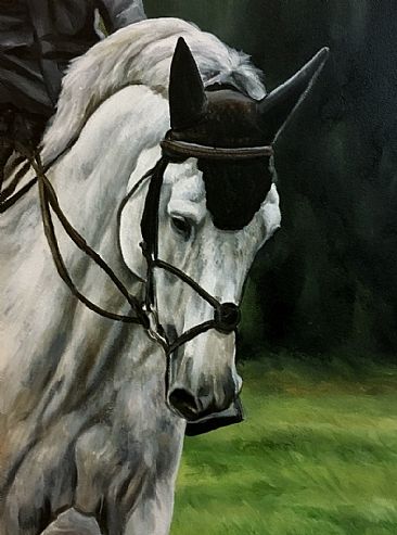 Condor - Equestrian Horse by Cindy Billingsley