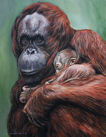 orangutan and baby - orangutan female and baby by Cindy Billingsley