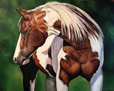 Mikey - paint Horse by Cindy Billingsley