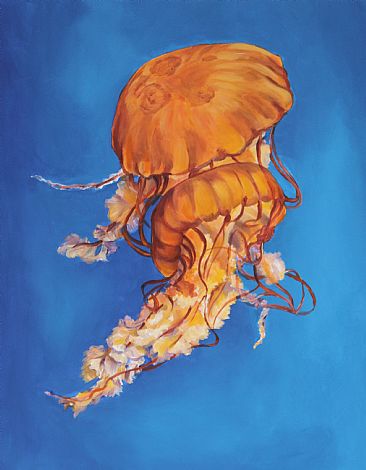 Jellyfish - Pacific Northwest Sea Nettle Jellyfish by Cindy Billingsley