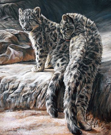 snow leopard cubs - snow leopard cubs by Cindy Billingsley