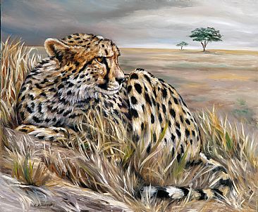 Watchfullness of Cheetah - cheetah by Cindy Billingsley
