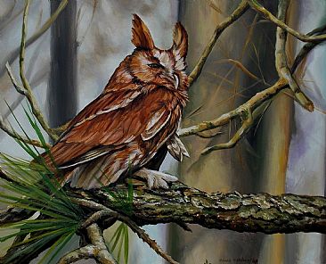screech Owl - Screech owl by Cindy Billingsley