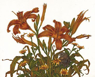 In Celebration of Lily - Lilies and Black eyed Susans and immature wren by Vicki Renn