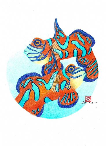 Mandarin Fish - (Synchiropus splendidus) by Solveig Nordwall