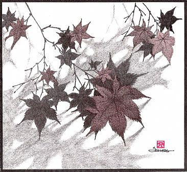 Momiji - Sugar Maple by Solveig Nordwall