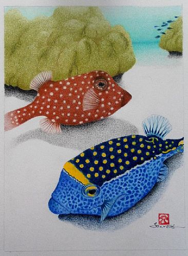 Box Fish Couple - Blue Box Fish / Ostracion meleagris / Haw'n: moa by Solveig Nordwall