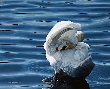 Mute Swan -  by Joseph Koensgen