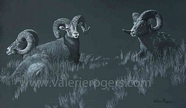 Rams Ridge - Big Horn Sheep by Valerie Rogers