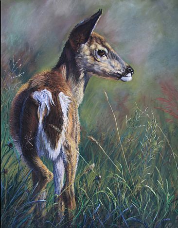 Fawn - White Tailed Deer by Deborah LaFogg-Docherty