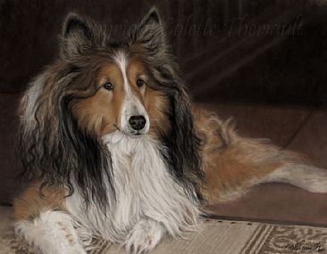 Mickey (SOLD) - Dog Portrait by Colette Theriault