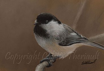 Little Visitor (SOLD) - Black Capped Chickadee by Colette Theriault