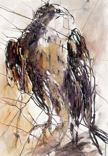 Eagle - wandring birds by Varda Breger