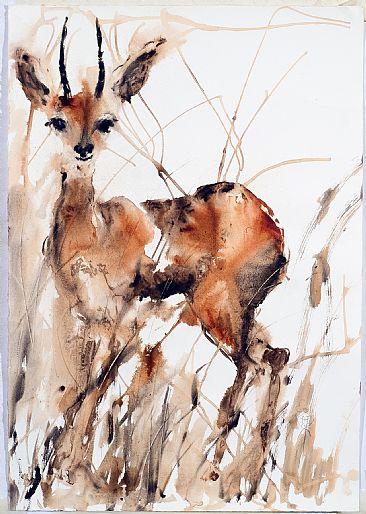 young - deer by Varda Breger