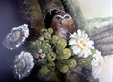 Cactus Flower - Elf Owl in Saquaro by Kathryn Weisberg