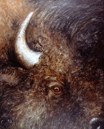 Spirit of Buffalo - American Bison by Kathryn Weisberg