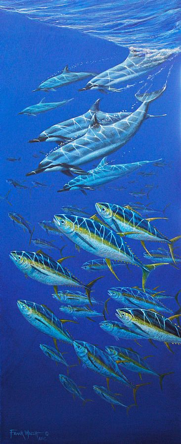 In The Mix - Spinner Dolphins and Yellowfin Tuna by Frank Walsh